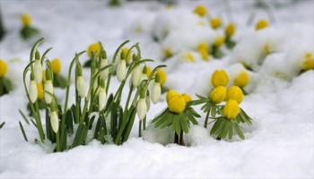 La primavera inizierà fredda e perturbata.