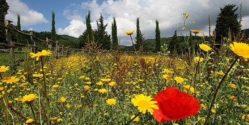 Pasqua e Pasquetta a rischio maltempo: piogge al Nord, variabile al Sud.