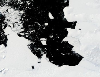 Oceano Antartico: l’enorme Iceberg B-31 sotto monitoraggio della NASA