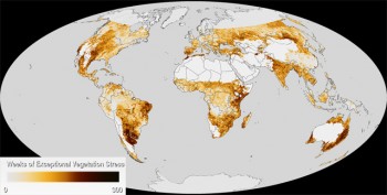 Siccità nel mondo: la mappa NOAA aggiornata