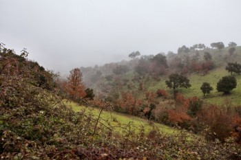 Entra il Libeccio, piogge sulle Tirreniche