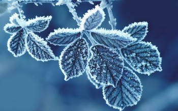 Goccia fredda in azione al centro-sud, piogge e nevicate in montagna