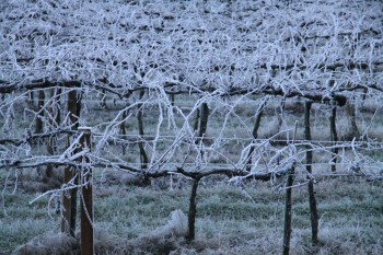 Nebbie e freddo notturno in aumento, ecco gli effetti dell’alta pressione