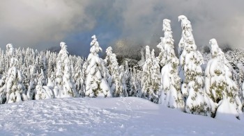 Freddo e neve, come nascono le irruzioni di aria fredda ?