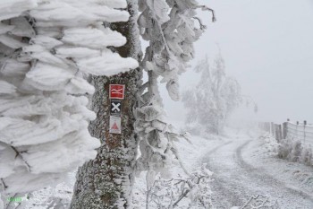 Ciclone simil-tropicale nel Mediterraneo, prima neve al Centro Europa: Dicembre inizia con forti contrasti