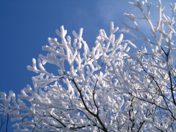 Meteo Weekend: sole e clima mite prima, freddo e neve poi.