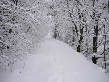 Allerta Meteo: Piogge,temporali e neve a quote basse al centro-sud