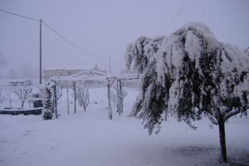 Freddo e neve, nuove nevicate in Appennino