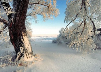 Maltempo e freddo in arrivo, neve fino a quote collinari