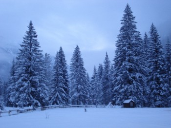 Meteo Weekend: prima pioggia e neve, poi gelo