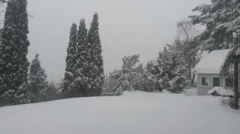 Neve in Norvegia, la primavera può attendere [FOTO]