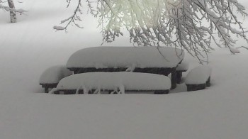 Neve di marzo, tutte le immagini [FOTO]