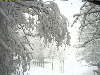 Neve in collina al sud: ecco le immagini [FOTO]