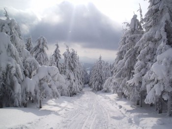 In arrivo un abbondante carico di neve per le Alpi Occidentali, tutti i dettagli