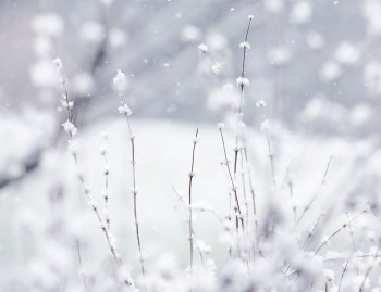 Martedì di transizione, poi ritorna l’inverno