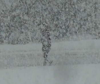 Neve su Alpi e Appennino, ecco gli accumuli e le zone interessate