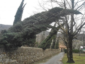 Tempesta di vento in arrivo, ecco le zone colpite