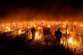 Massime over 30 in Spagna, gelate notturne in Svizzera [IMMAGINI]