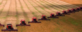 Che cosa stiamo facendo alla Terra ?