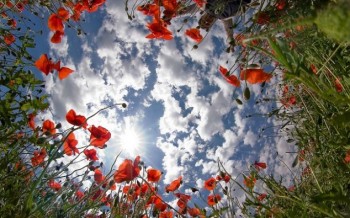 Meteo 15 Giorni: ancora perturbazioni e poi sarà Anticiclone?