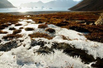 Clima: allarme permafrost!