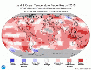 Battuto un altro record: Luglio è il mese più caldo degli ultimi 150 anni globalmente