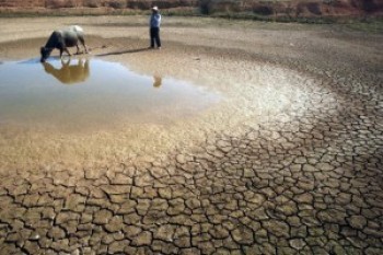 Global Warming: Cosa sta accadendo ai fiumi?