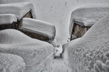 Nuove copiose nevicate sulle Alpi domenica, localmente anche fin sotto i 1000 mt!