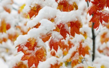 Maltempo e Freddo: Settimana con assaggio Invernale e prime nevicate!