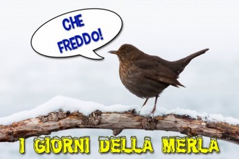 Giorni della Merla poco invernali: da metà settimana si cambia!