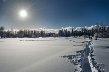 Nevicata storica a Reykjavík, non succedeva da quasi 80 anni! [IMMAGINI]