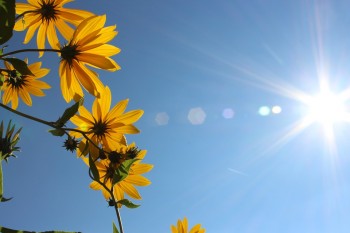 Ancora un anticipo di Primavera: l’Anticiclone non molla la presa!