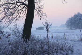 Gennaio primo mese freddo dopo quasi 4 anni, estremamente secco al nord