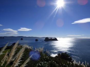 Stabilità e Aria Fresca: Giornate primaverili in arrivo!