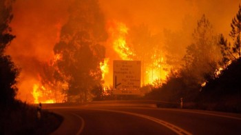 Portogallo in fiamme: fulmine causa incendi, oltre 60 vittime