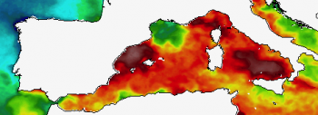 Mediterraneo bollente, temperature superficiali prossime ai 28°C