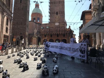 Grande flop del G7? gli Usa si dichiarano fuori dagli accordi di Parigi.