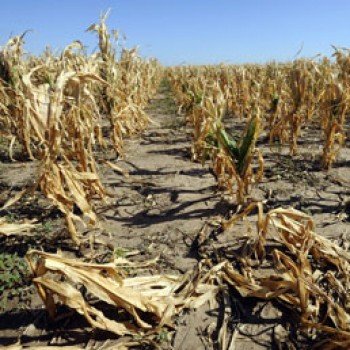 Agricoltura e Cambiamento Climatico