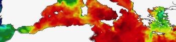 Mediterraneo “bollente”, temperature superficiali oltre i 30°C anche sulle nostre coste