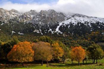 Nuova perturbazione nel weekend: freddo e neve al nord, pioggia e sabbia al sud!