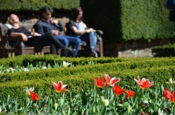 Caldo record su Europa centrale ed occidentale, oltre +25°C tra Francia e Spagna!