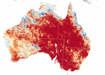 Australia, è stato uno dei mesi di gennaio più caldo di sempre