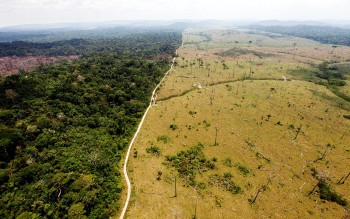 Nel 2018 il mondo ha perso 12 milioni di ettari di foresta pluviale