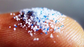 Il corpo umano assume fino a 120.000 particelle di microplastiche all’anno