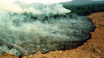 I polmoni della Terra stanno bruciando, il disastro in Amazzonia si vede dallo spazio