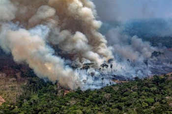 Le emissioni dai danni alle foreste sono state “enormemente sottostimate”