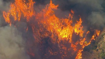 La crisi climatica porterà enormi sofferenze (di cui non si parla), l’appello di 11.000 scienziati