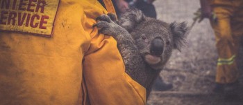 L’Australia sta bruciando: ma perché gli incendi sono così gravi?