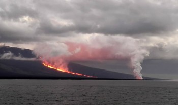 Eruzione nelle Galapagos, paura per animali in via di estinzione