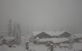 Cronaca meteo: nevicate abbondanti sulle Alpi, localmente fino a quote basse